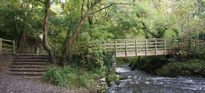 Bridge over the Cefni - Dingle Nant y Pandy Nature Reserve