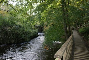 River Cefni The Dingle Nant y Pandy Nature Reserve