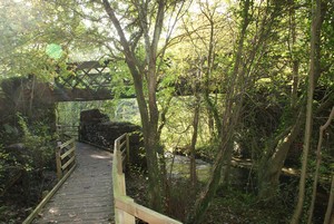 The Dingle Nant y Pandy